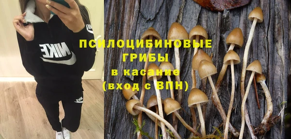 прущий лед Белокуриха