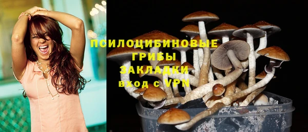 мяу мяу кристалл Магас