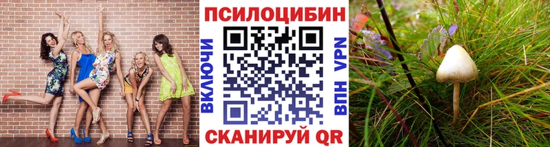 хочу наркоту  Шагонар  Псилоцибиновые грибы прущие грибы 
